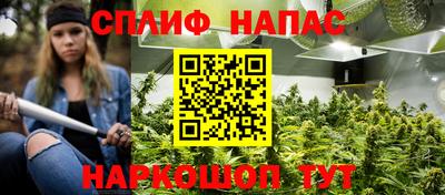 молекула духа Будённовск